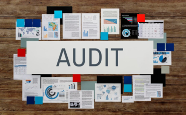 State Auditing